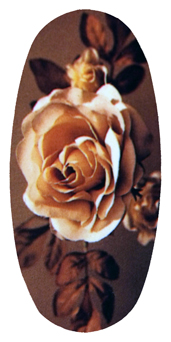 DASOV 071 Imperial Rose Brown